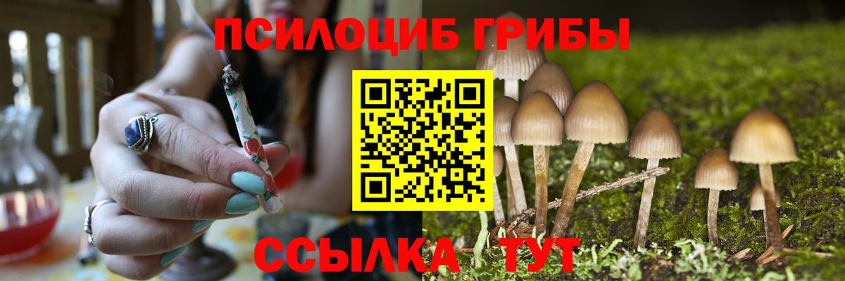 Псилоцибиновые грибы прущие грибы Губкин
